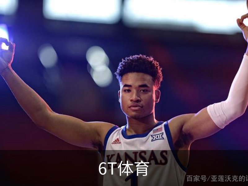 6T体育简介
